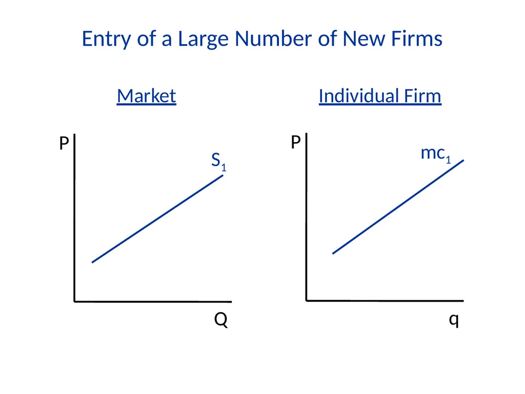 Lecture 7 Firms and Profit Maximization Economics - slide 47 of 71