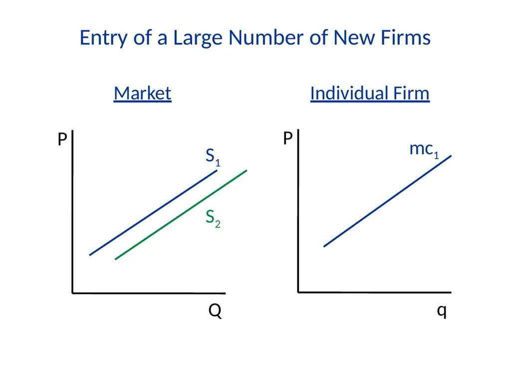 Lecture 7 Firms and Profit Maximization Economics - slide 48 of 71
