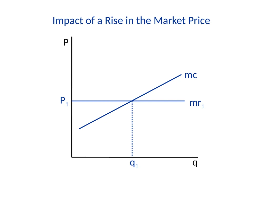 Lecture 7 Firms and Profit Maximization Economics - slide 33 of 71