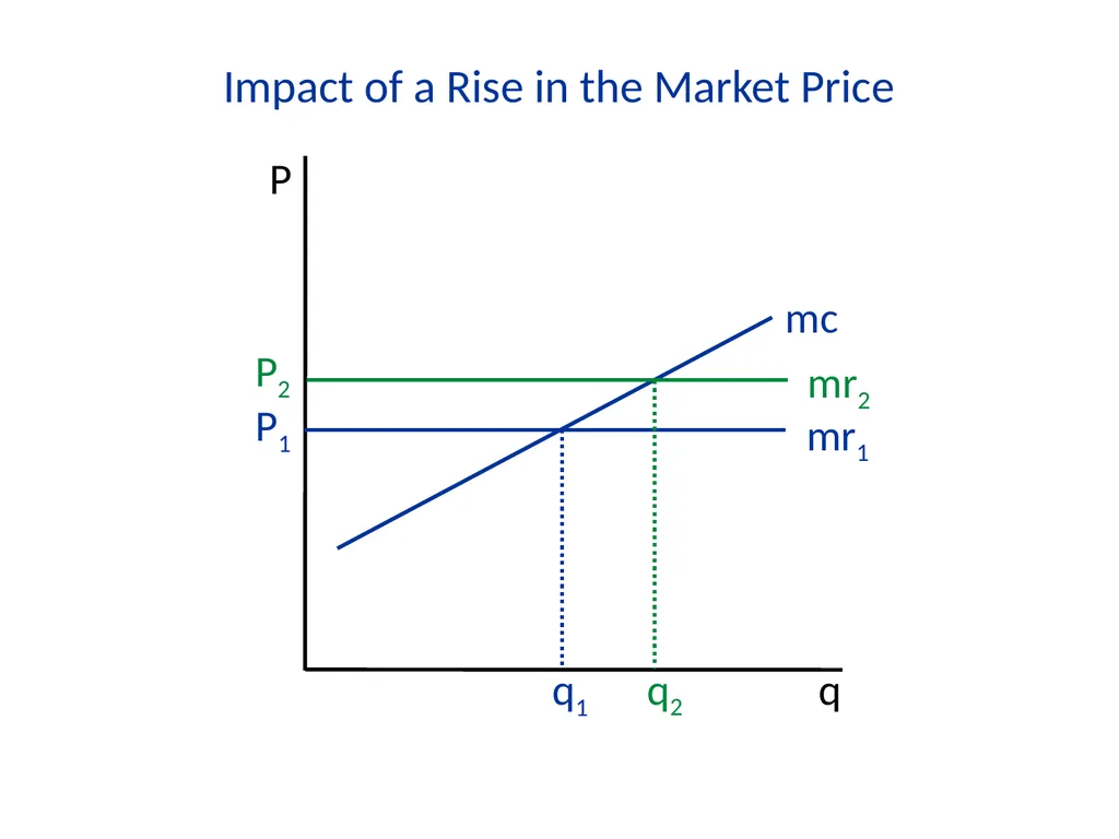 Lecture 7 Firms and Profit Maximization Economics - slide 34 of 71