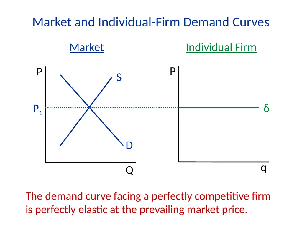 Lecture 7 Firms and Profit Maximization Economics - slide 11 of 71