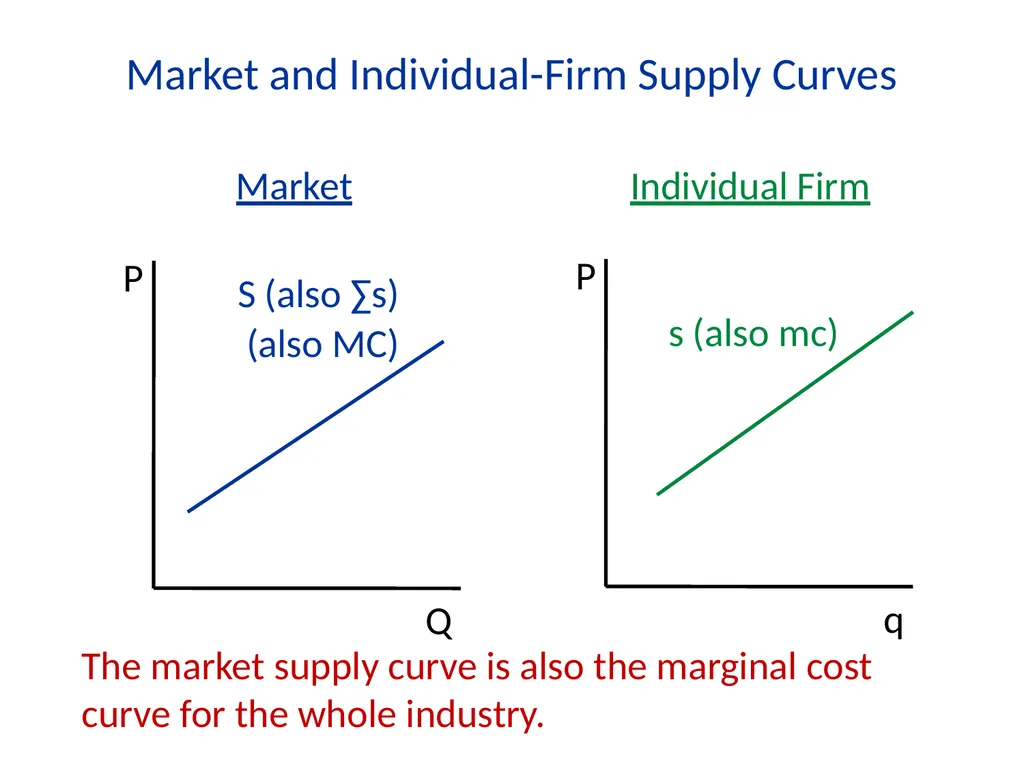 Lecture 7 Firms and Profit Maximization Economics - slide 38 of 71