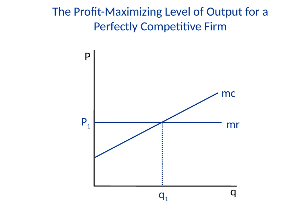 Lecture 7 Firms and Profit Maximization Economics - slide 21 of 71