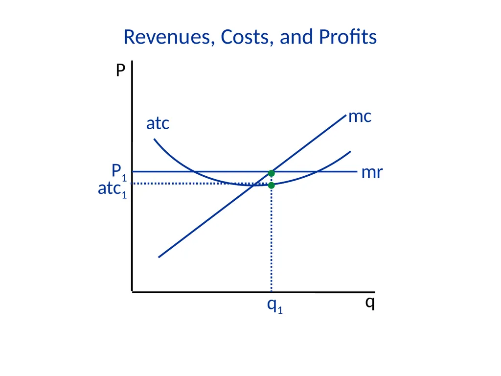 Lecture 7 Firms and Profit Maximization Economics - slide 59 of 71