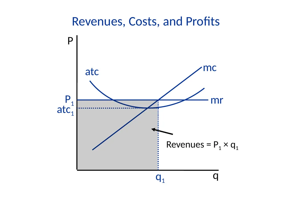 Lecture 7 Firms and Profit Maximization Economics - slide 60 of 71