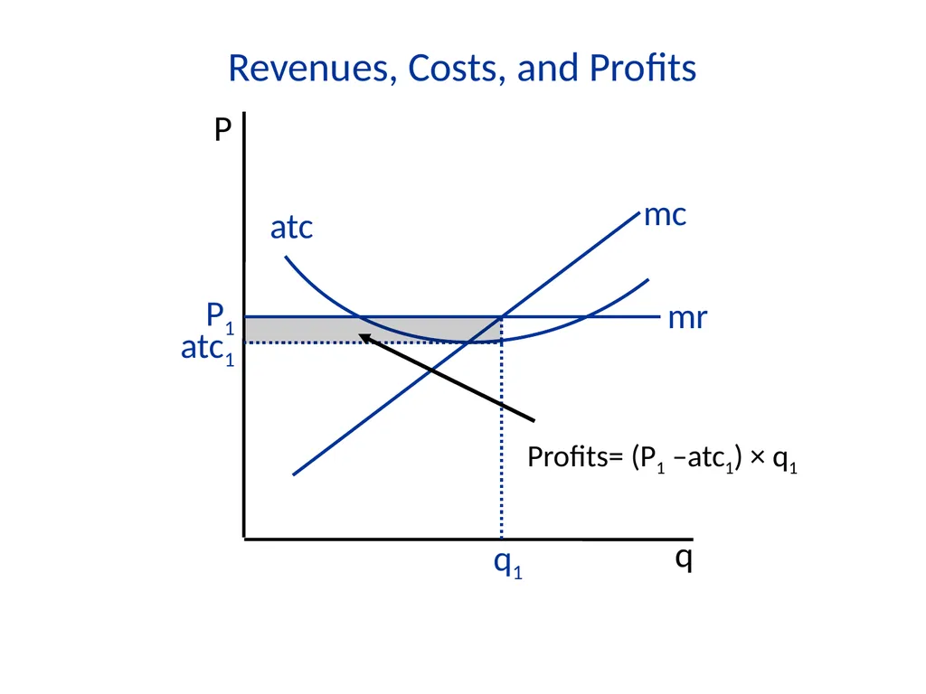 Lecture 7 Firms and Profit Maximization Economics - slide 62 of 71