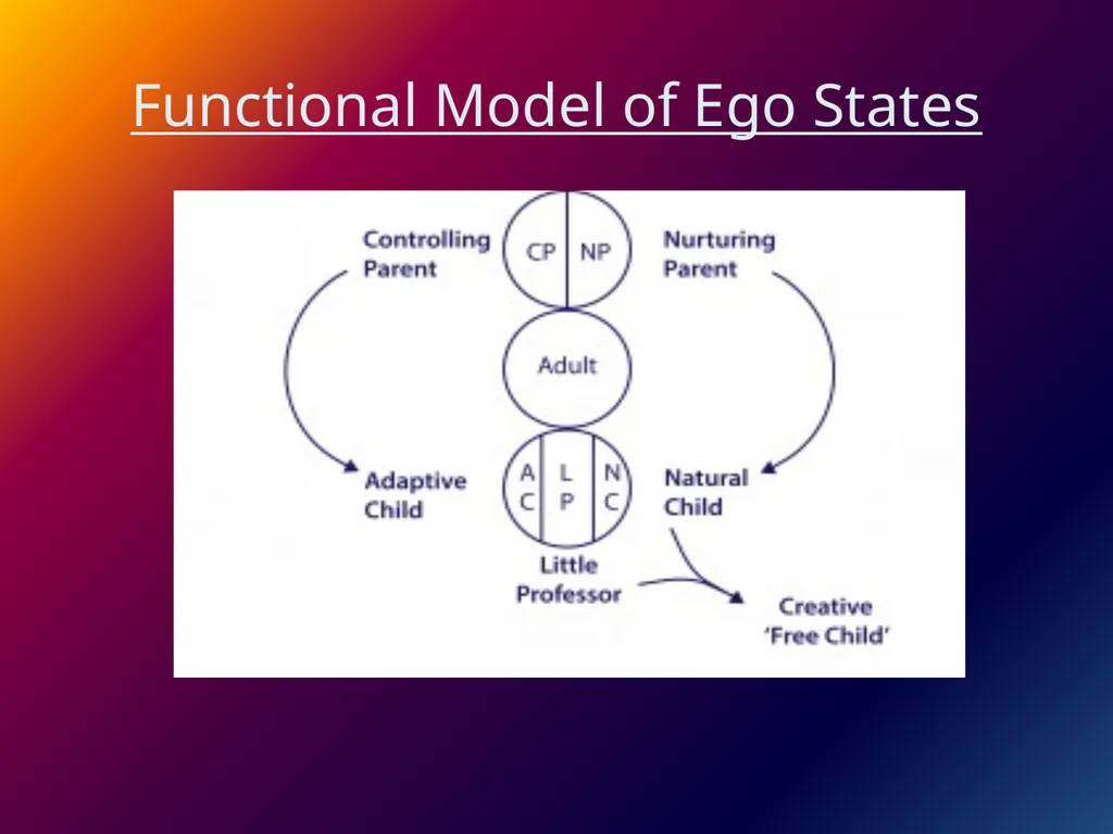 EGO STATES Dr. Srinibash Dash School of Management - slide 8 of 9