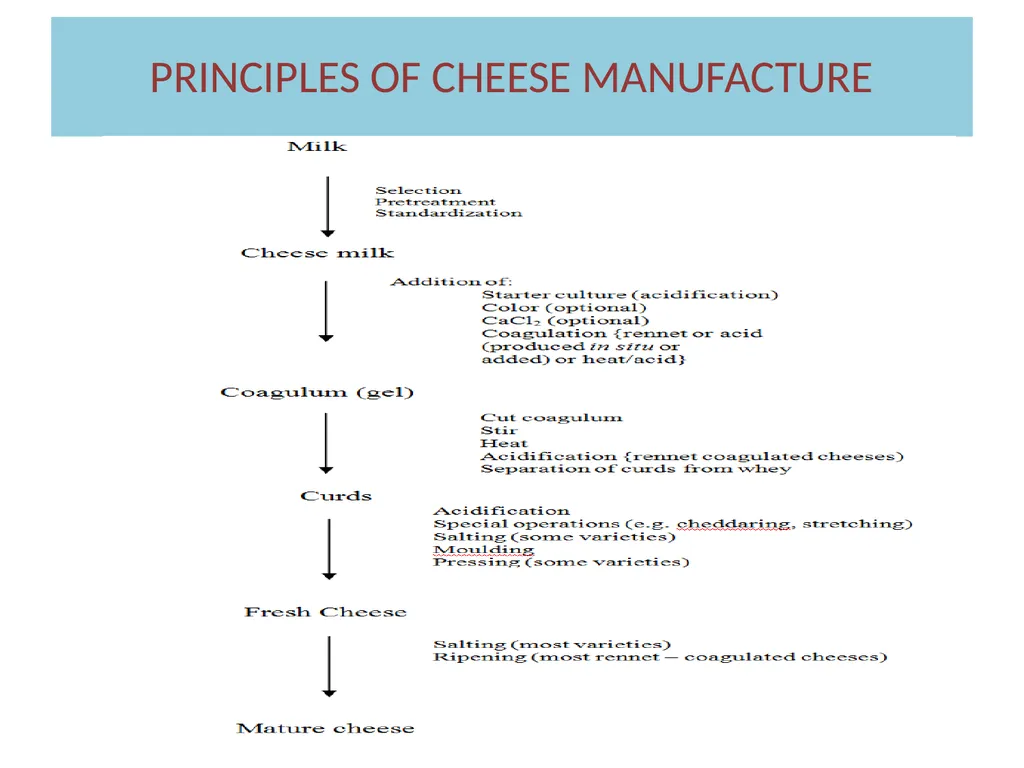 Cheese Technology Dr Sanjeev Kumar Associate - slide 8 of 16