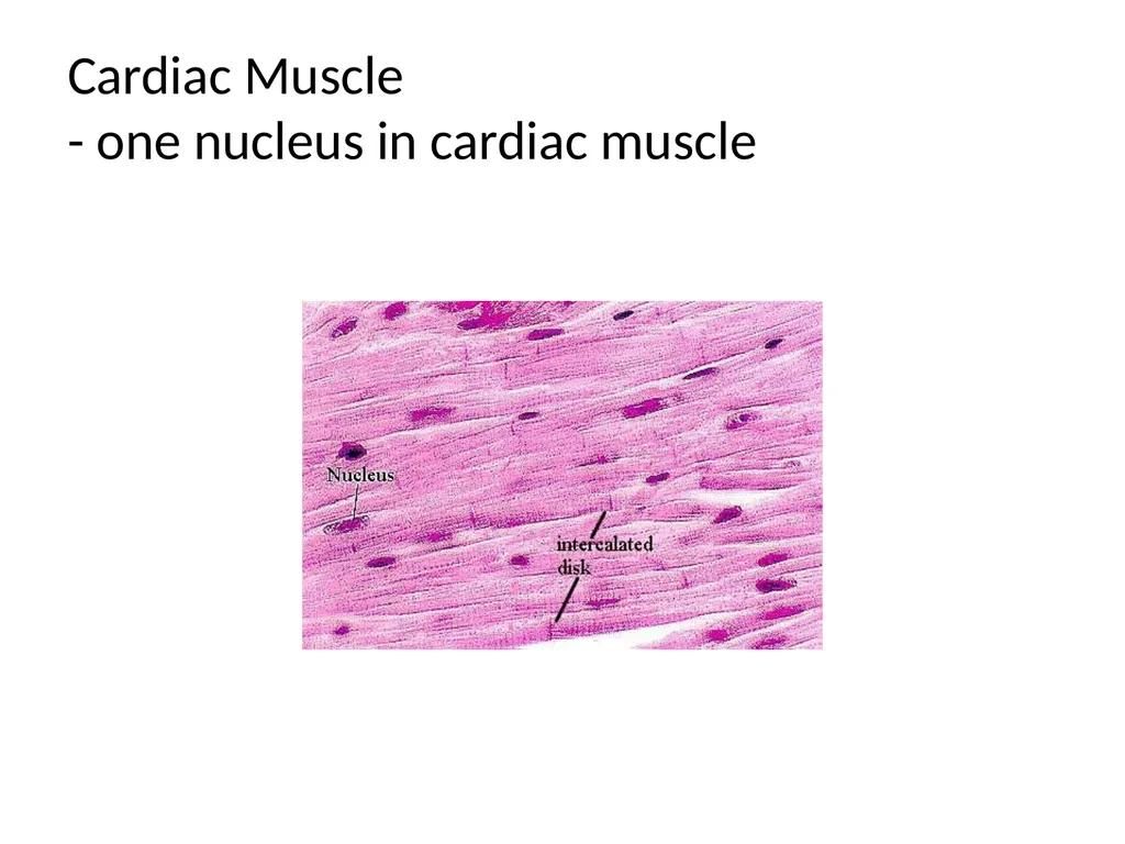 Histology Tissues Groups of cells similar in - slide 6 of 74