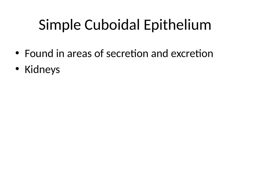 Histology Tissues Groups of cells similar in - slide 28 of 74