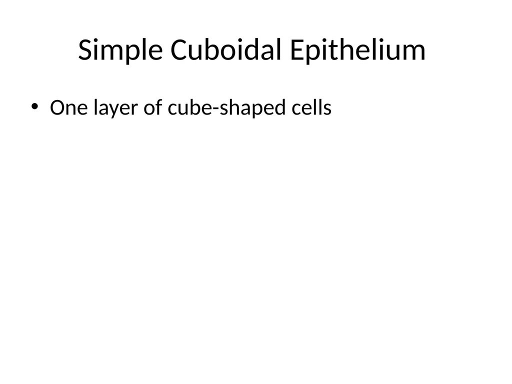 Histology Tissues Groups of cells similar in - slide 32 of 74