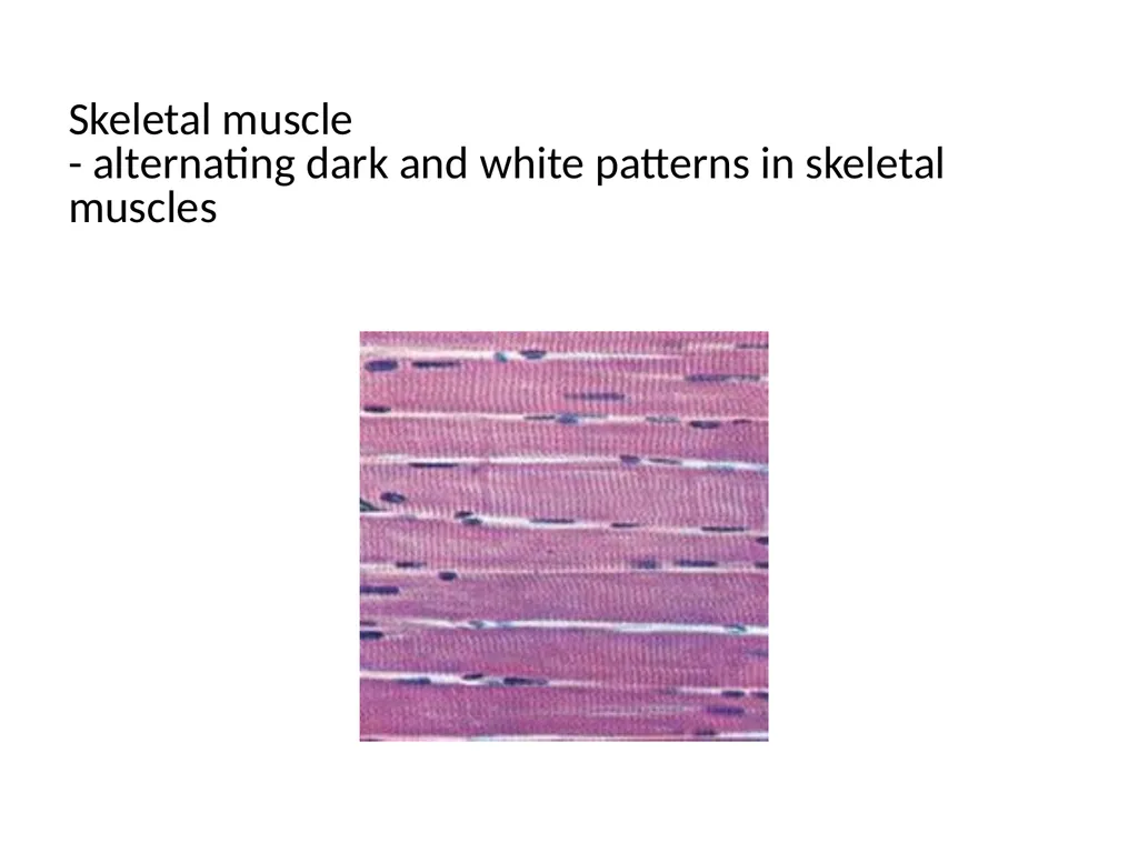 Histology Tissues Groups of cells similar in - slide 8 of 74