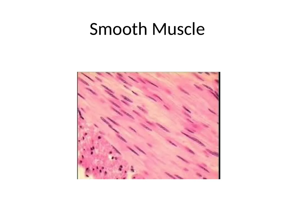 Histology Tissues Groups of cells similar in - slide 10 of 74