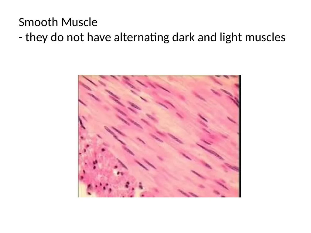 Histology Tissues Groups of cells similar in - slide 9 of 74