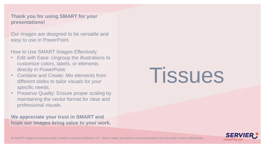 Tissues Simple cuboidal epithelium Simple columnar - slide 2 of 17