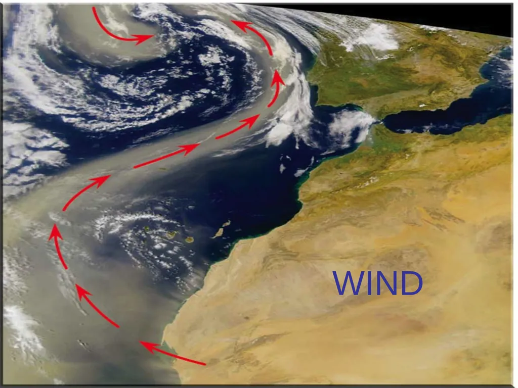 WIND Pressure Gradient Force (PGF) Causes air to - slide 1 of 20