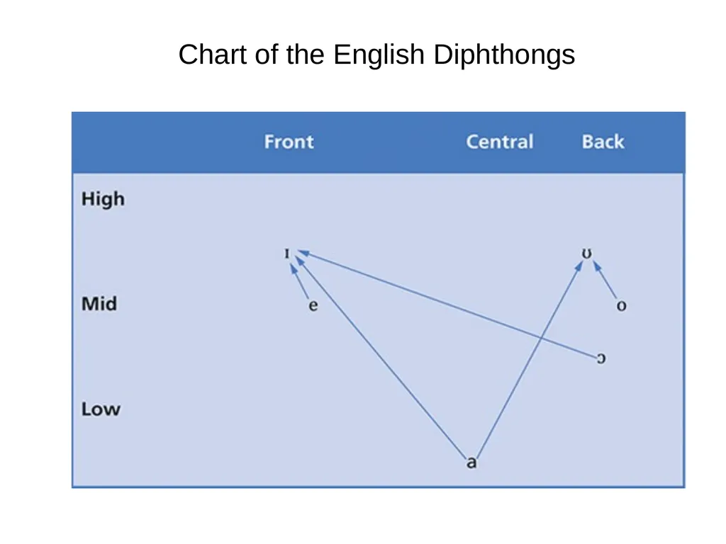 Chapter three The sounds of language (Phonetics) - slide 30 of 33