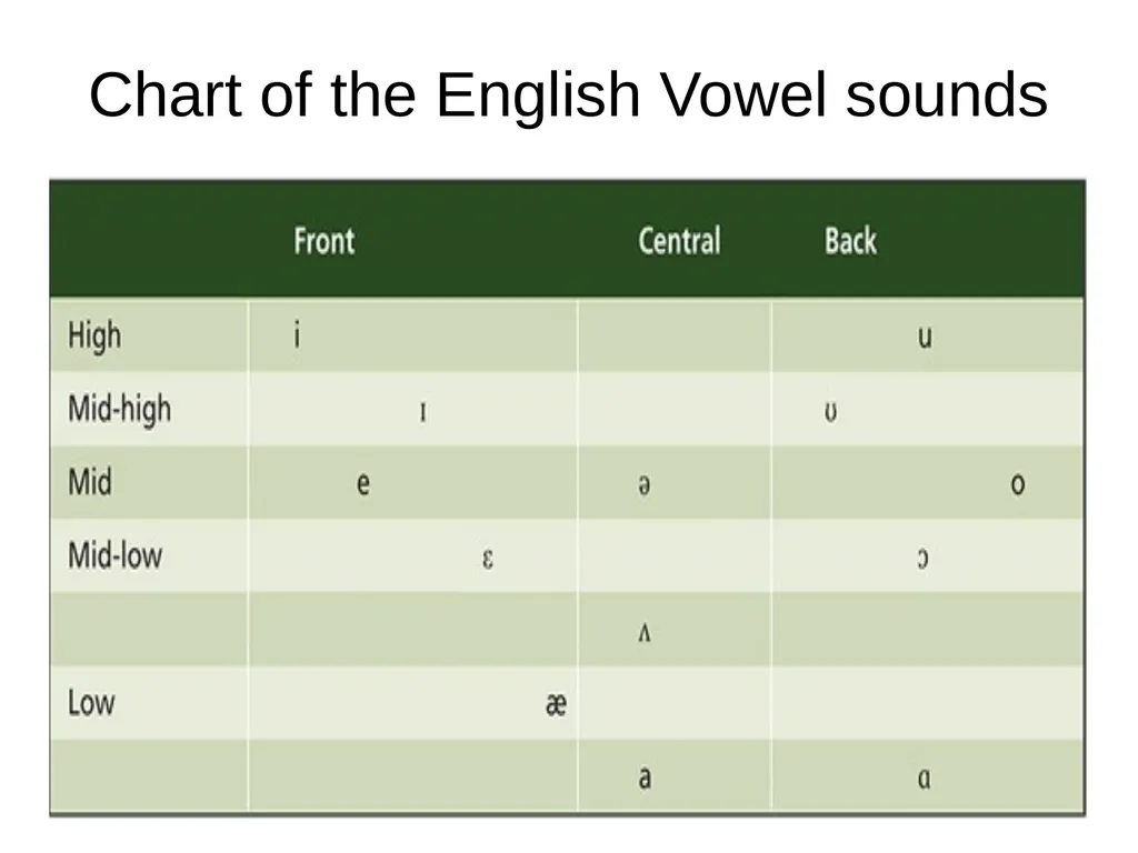 Chapter three The sounds of language (Phonetics) - slide 31 of 33