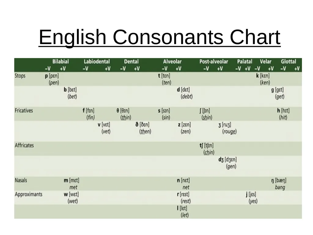 Chapter three The sounds of language (Phonetics) - slide 23 of 33