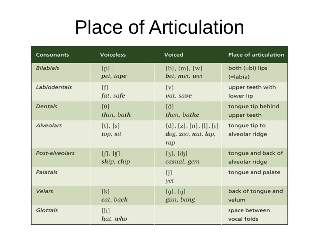 Chapter three The sounds of language (Phonetics) - slide 14 of 33