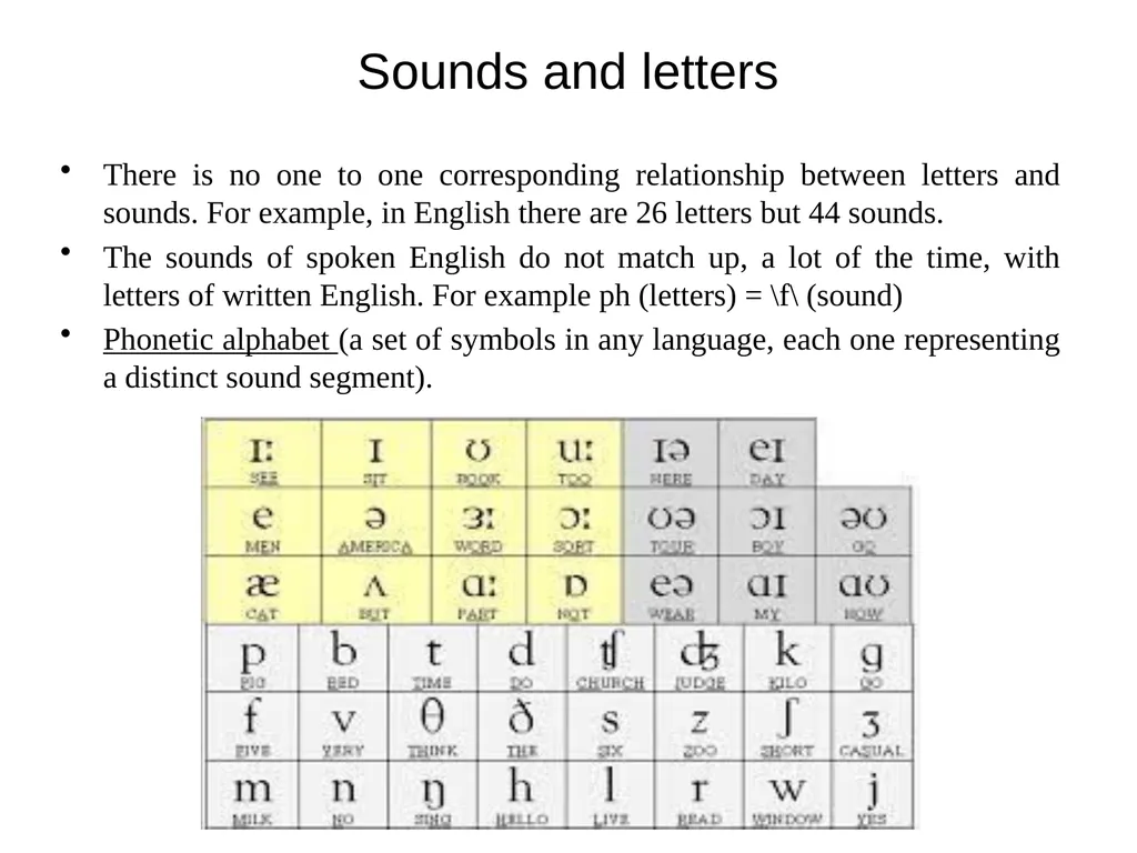 Chapter three The sounds of language (Phonetics) - slide 4 of 33