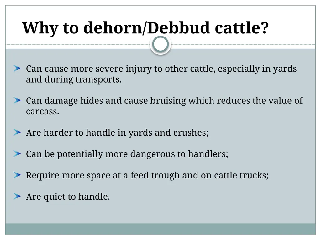 HORN Except polled breeds : Polled Hereford, - slide 4 of 28