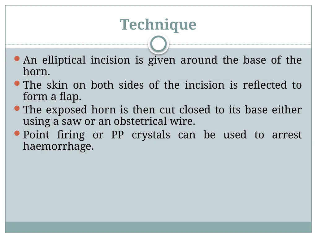 HORN Except polled breeds : Polled Hereford, - slide 26 of 28
