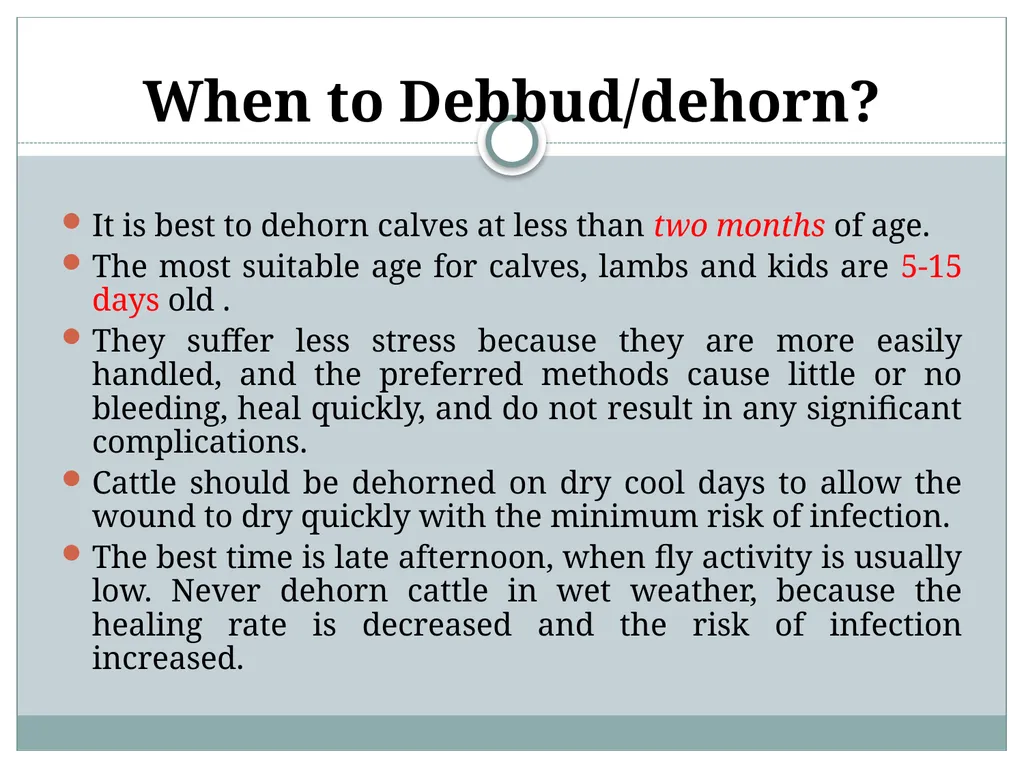 HORN Except polled breeds : Polled Hereford, - slide 5 of 28