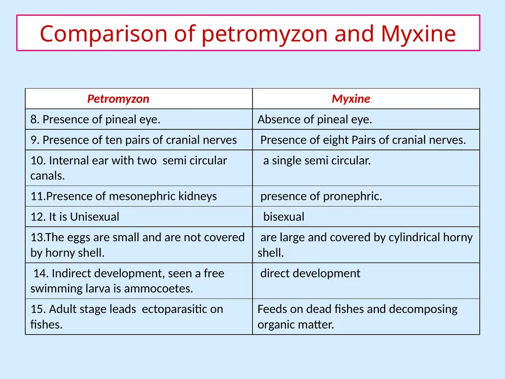 General Characters of Cyclostomata and Comparison - slide 7 of 8
