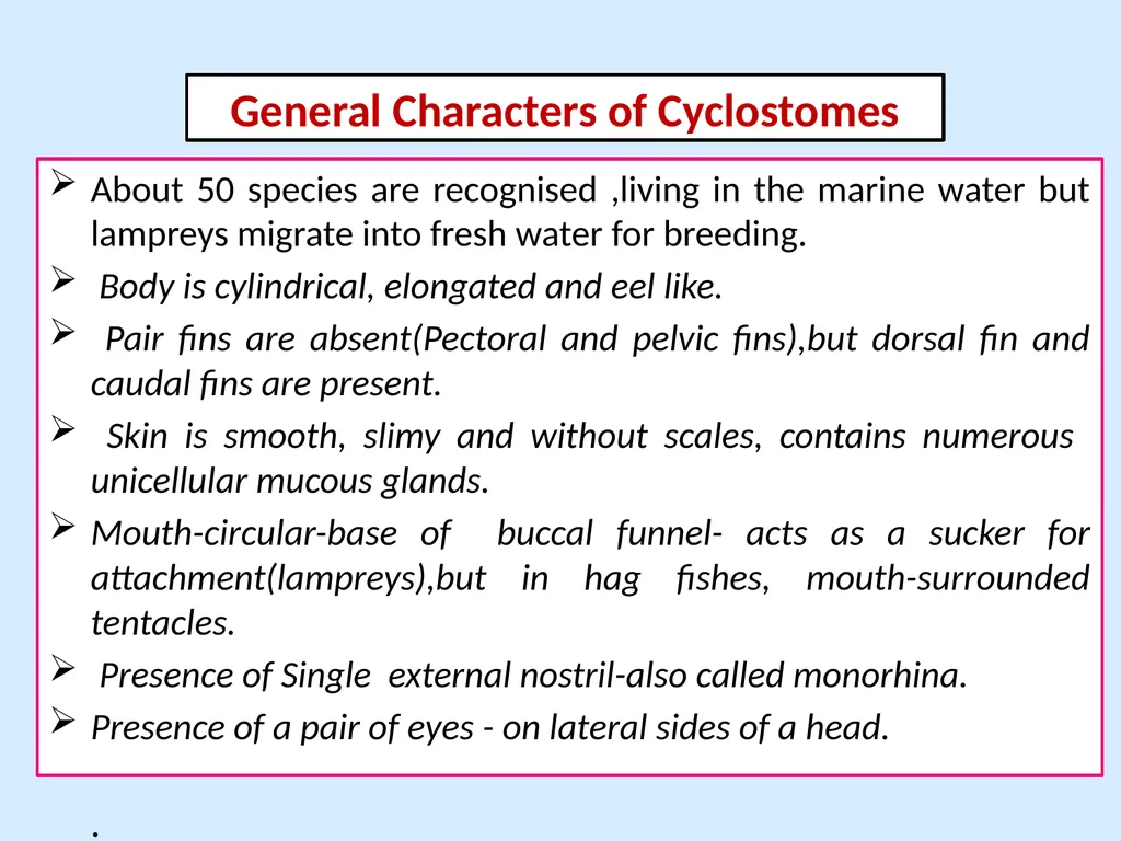 General Characters of Cyclostomata and Comparison - slide 3 of 8