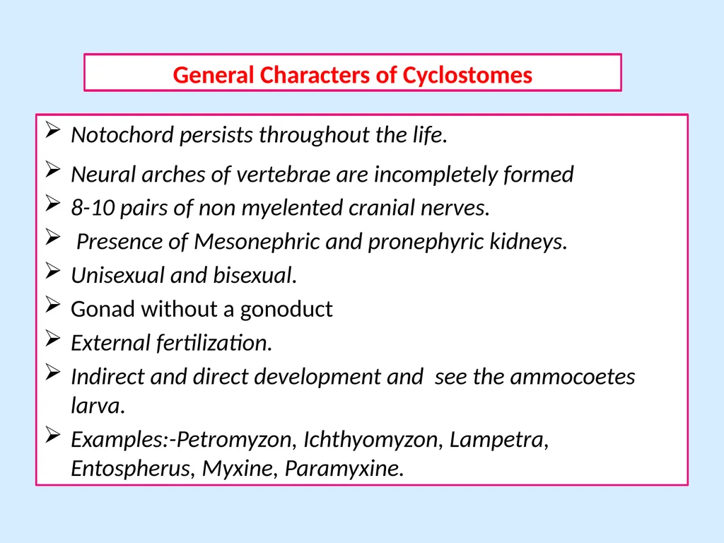General Characters of Cyclostomata and Comparison - slide 5 of 8