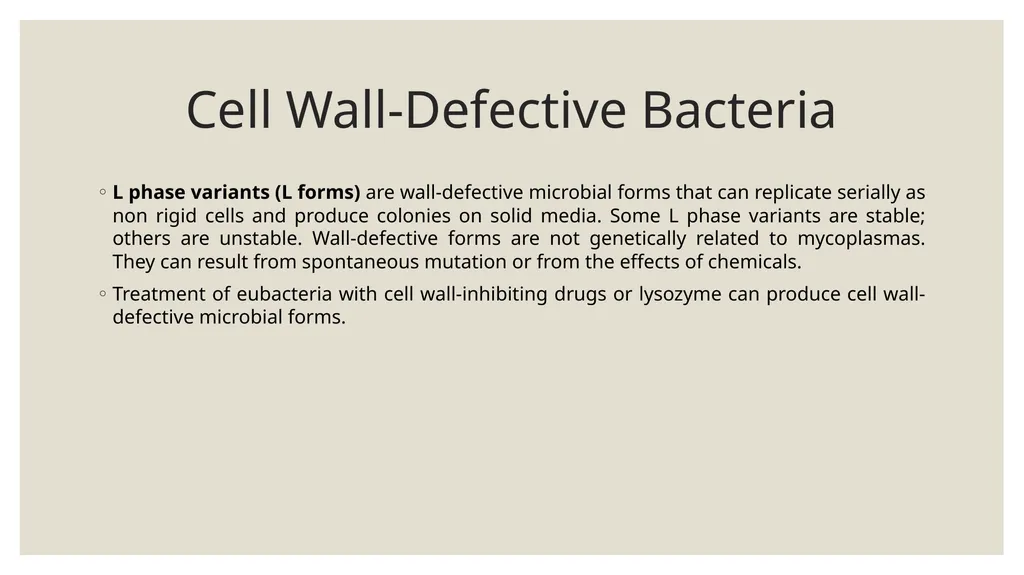 Medical Microbiology Asst. Prof. Dr. Dalya Basil - slide 19 of 21