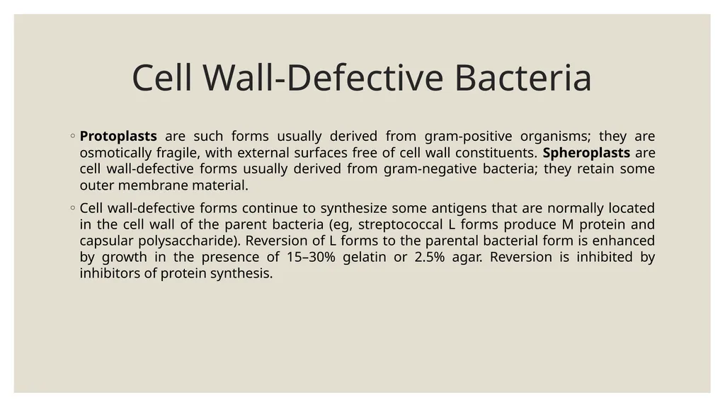 Medical Microbiology Asst. Prof. Dr. Dalya Basil - slide 20 of 21