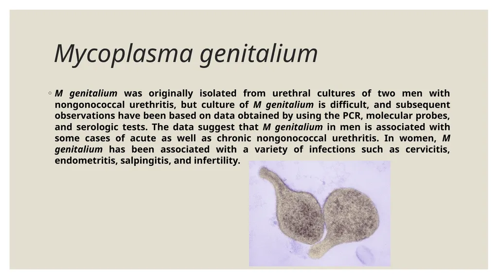 Medical Microbiology Asst. Prof. Dr. Dalya Basil - slide 17 of 21
