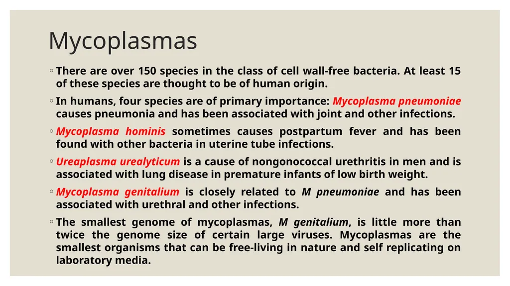 Medical Microbiology Asst. Prof. Dr. Dalya Basil - slide 9 of 21