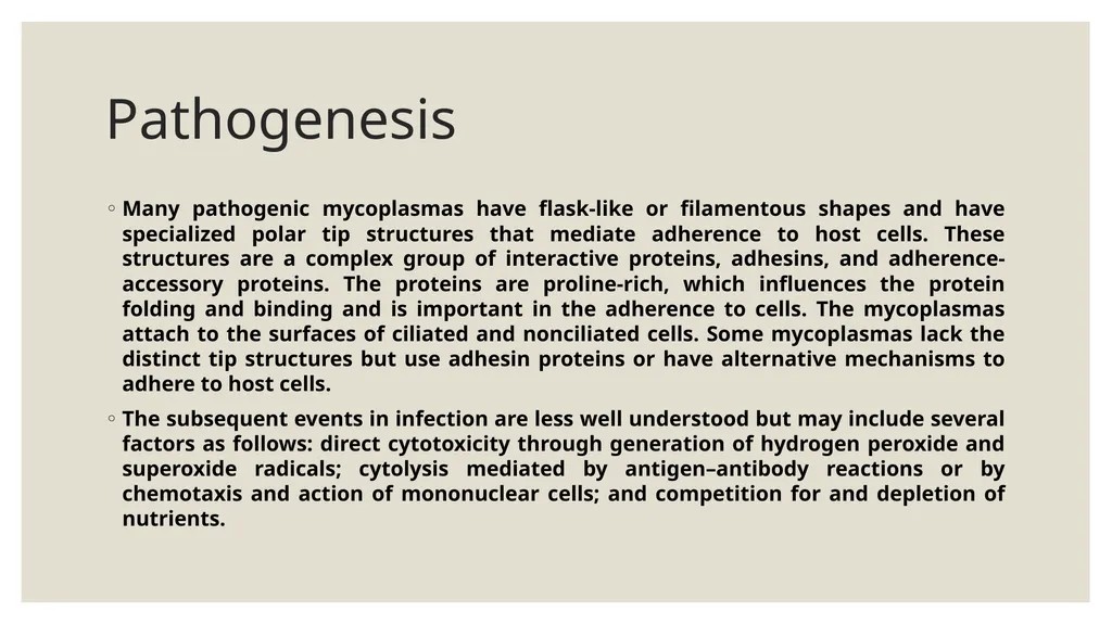 Medical Microbiology Asst. Prof. Dr. Dalya Basil - slide 11 of 21