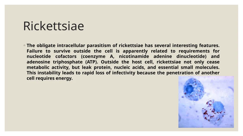Medical Microbiology Asst. Prof. Dr. Dalya Basil - slide 3 of 21
