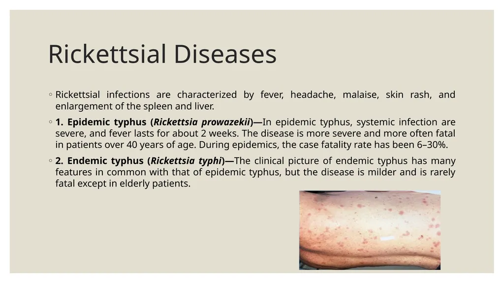 Medical Microbiology Asst. Prof. Dr. Dalya Basil - slide 5 of 21