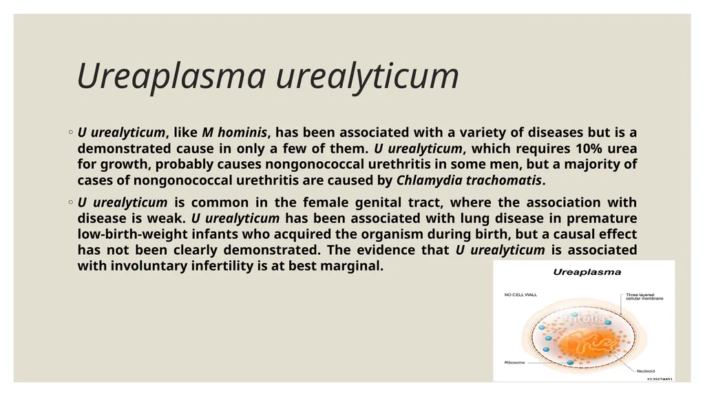 Medical Microbiology Asst. Prof. Dr. Dalya Basil - slide 16 of 21