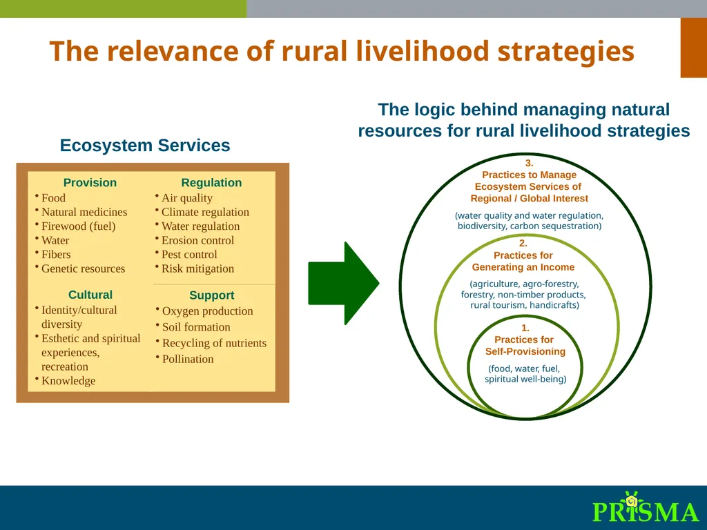 International Synthesis Workshop on “Migration, - slide 21 of 25