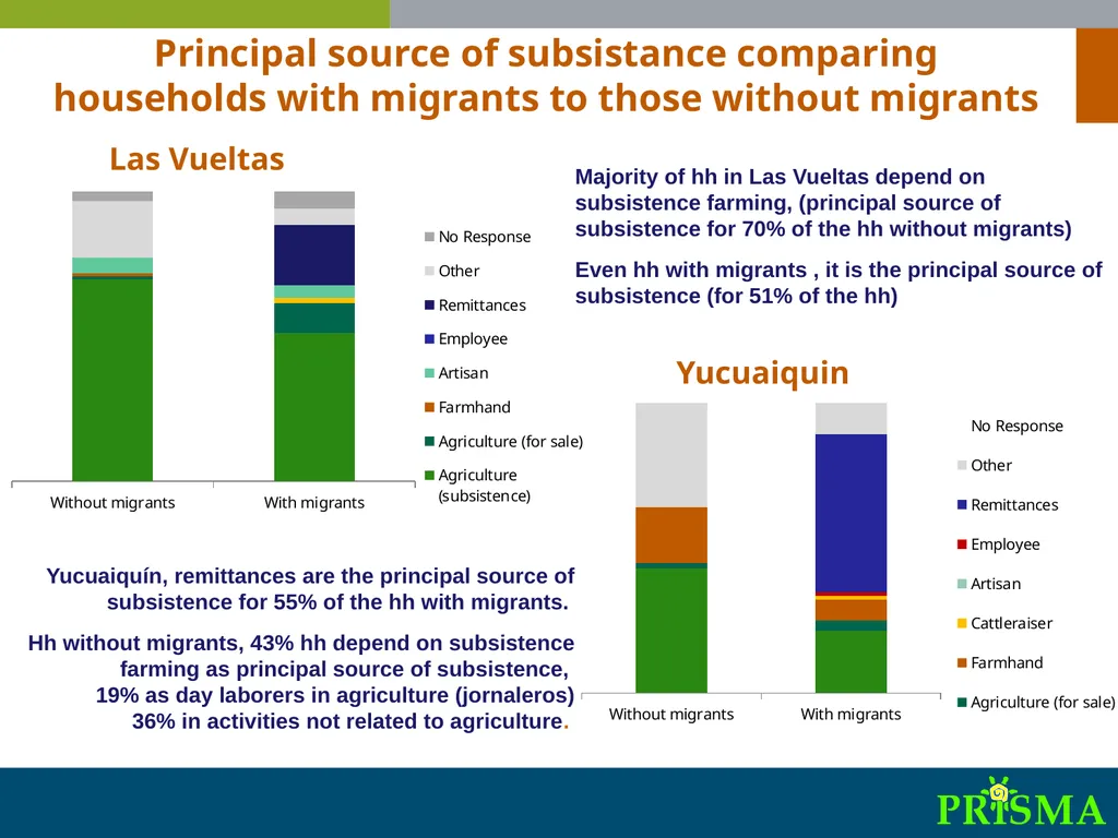 International Synthesis Workshop on “Migration, - slide 8 of 25
