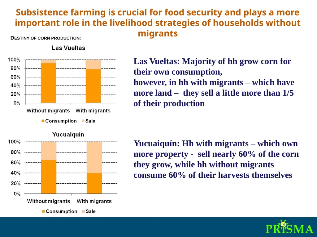 International Synthesis Workshop on “Migration, - slide 9 of 25