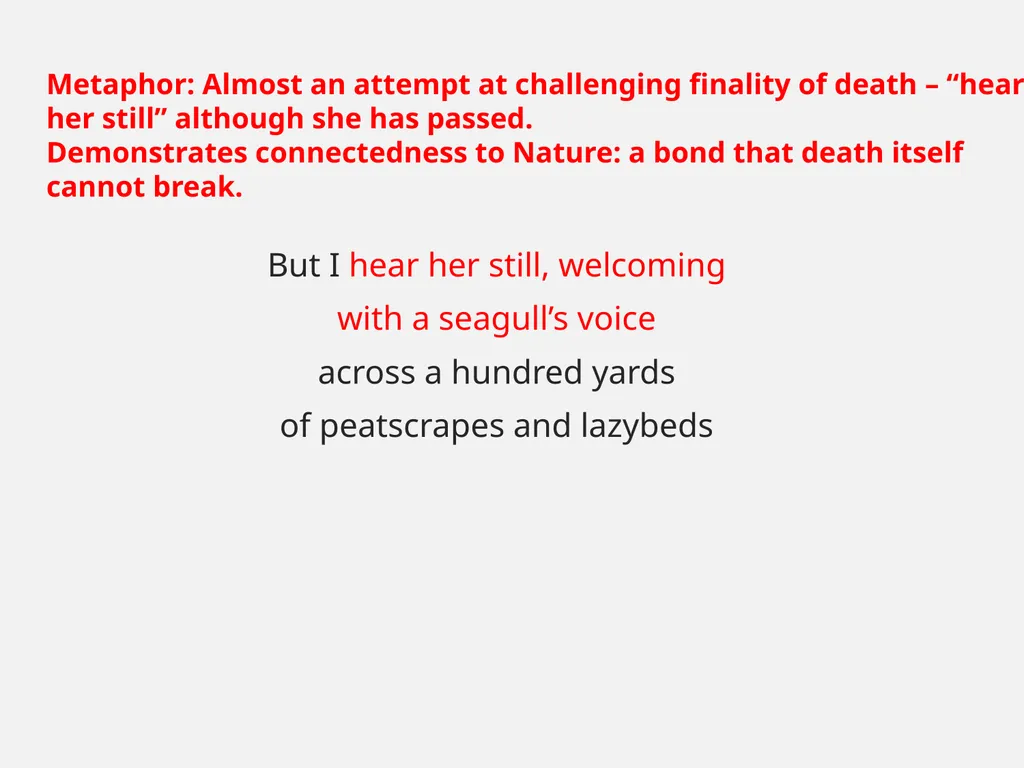 Aunt Julia Norman MacCaig In your groups What do - slide 34 of 52