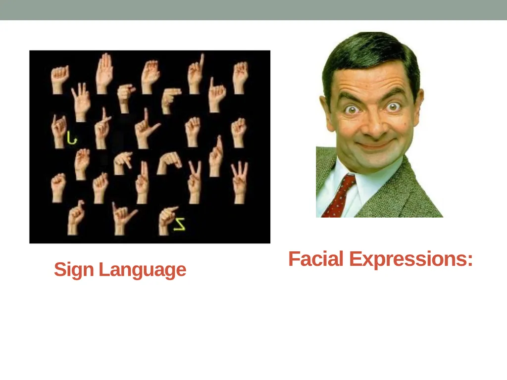 Communication And Sign Language Communication is a - slide 8 of 31