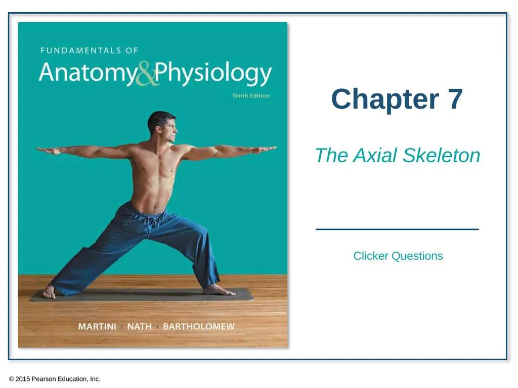 © 2015 Pearson Education, Inc. In which bone is - slide 1 of 53