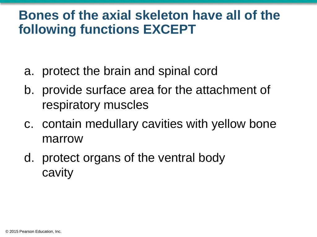 © 2015 Pearson Education, Inc. In which bone is - slide 26 of 53