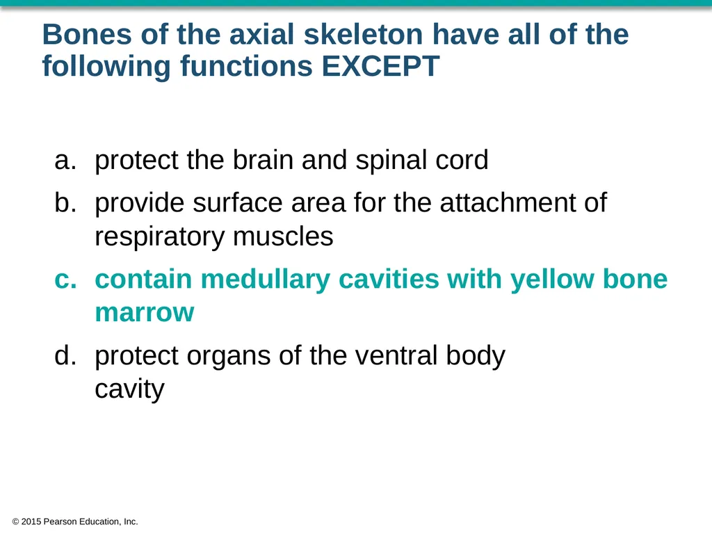 © 2015 Pearson Education, Inc. In which bone is - slide 27 of 53