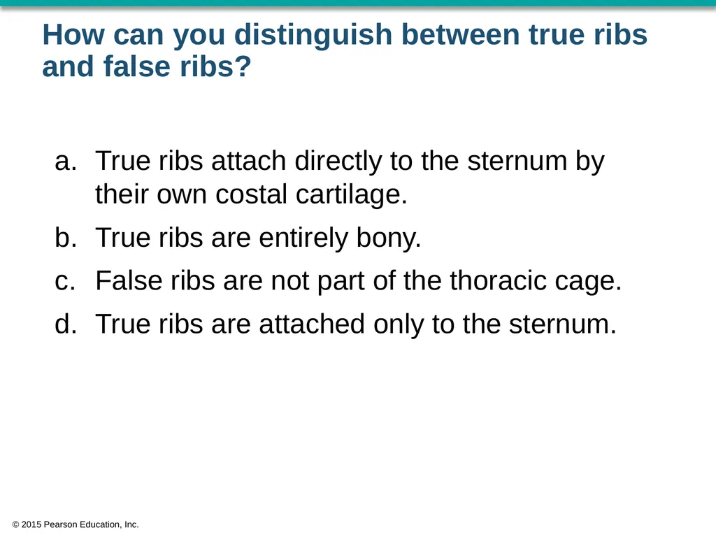 © 2015 Pearson Education, Inc. In which bone is - slide 28 of 53