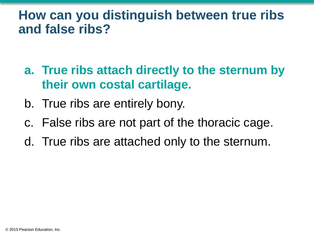 © 2015 Pearson Education, Inc. In which bone is - slide 29 of 53