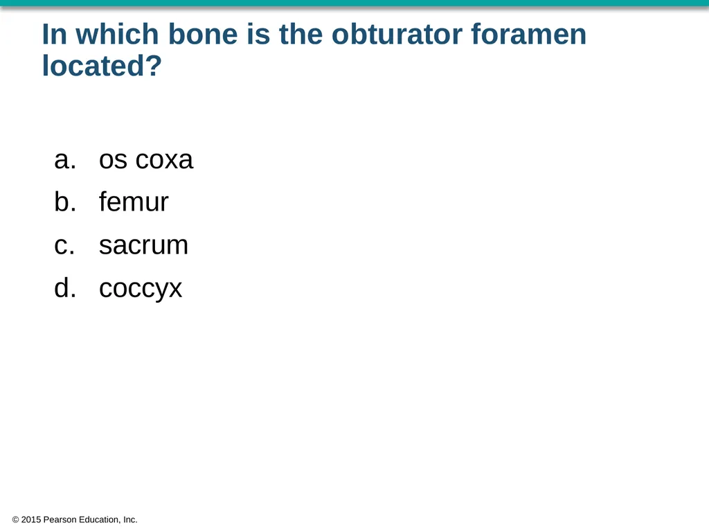 © 2015 Pearson Education, Inc. In which bone is - slide 2 of 53
